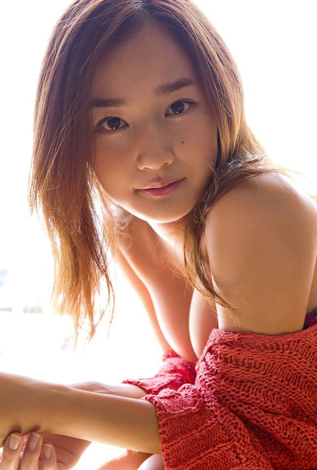 翡翠波斯猫2